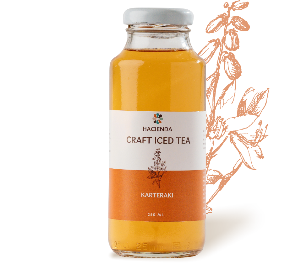 CRAFT ICED TEA