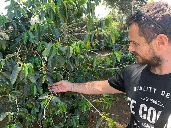 Hacienda Coffee Philosophy